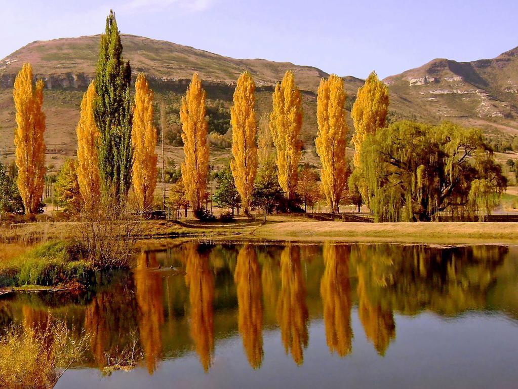 Lake Clarens Guest House Habitación foto